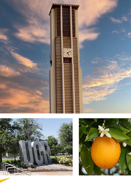 Campus beauty shots: bell tower, UCR signs, orange