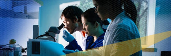 Students and Faculty looking through a microscope